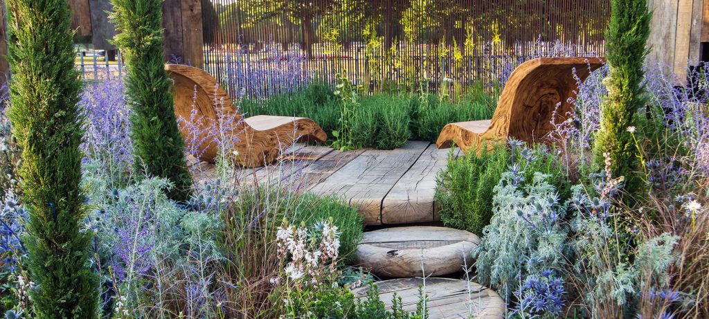 garden design and planting based in Brighton