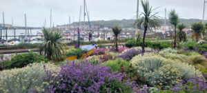 mike harvey gardens planting design brighton garden design brighton coastal garden specalist seaside garden seaside garden design salt spray tolerant planting