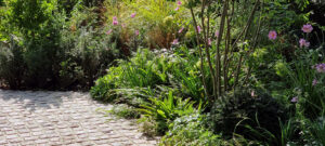 reclaimed granite sett parking area shade tolerant planting granite setts