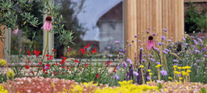 green roof colourful perennials beautiful planting