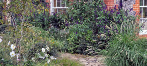 informal garden design brick and flint house pennisetum autumn garden