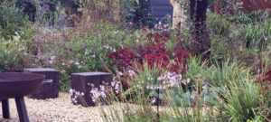 scented planting informal seating area firebowl oak seats