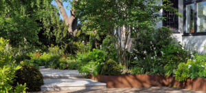 corten steel retaining wall limestone steps shade planting reigate garden design garden designer near me multistem tree multistem amelanchier tree front garden design