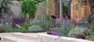 brighton garden design garden office timber clad garden office cedar clad garden office home office garden travertine steps travertine paving colourful planting