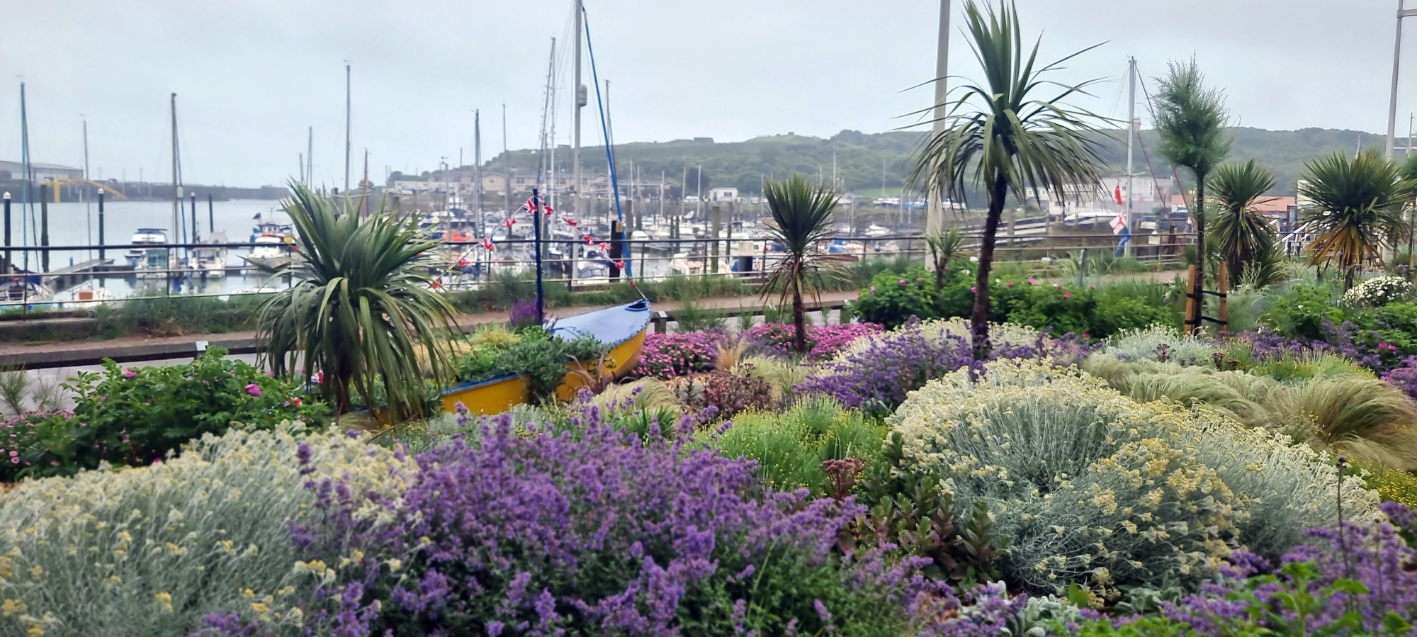 colourful-planting