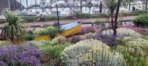 coastal-gravel-garden