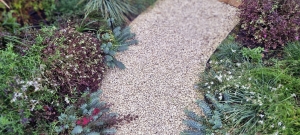 drought-tolerant-planting-textures