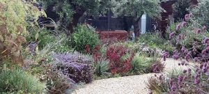 gravel-path-winding-through-planting