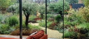 mediterranean-garden-design-london