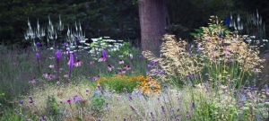 perennial-planting-design-sussex