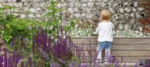 planting-in-front-of-flint-wall-sussex