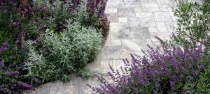 silver-and-purple-planting-with-silver-travertine-paving-brighton